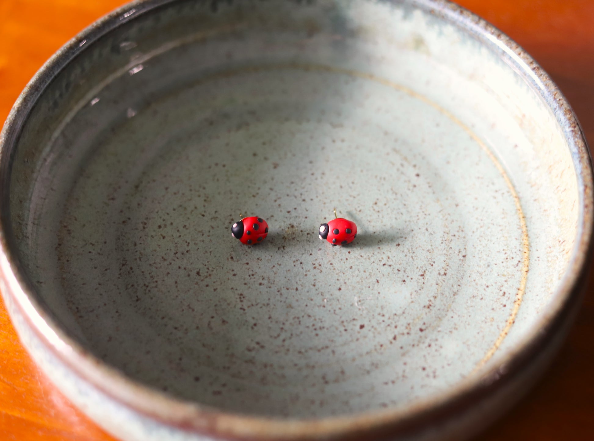 A pair of red and black ladybug stud earrings placed on a grey ceramic plate.